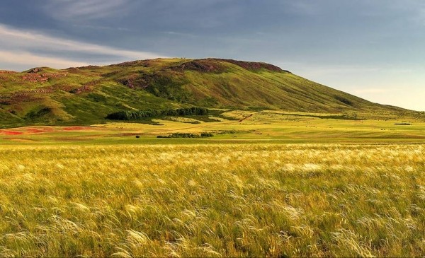 Тарихтың әуенін шерте жүрейік, ағайын!