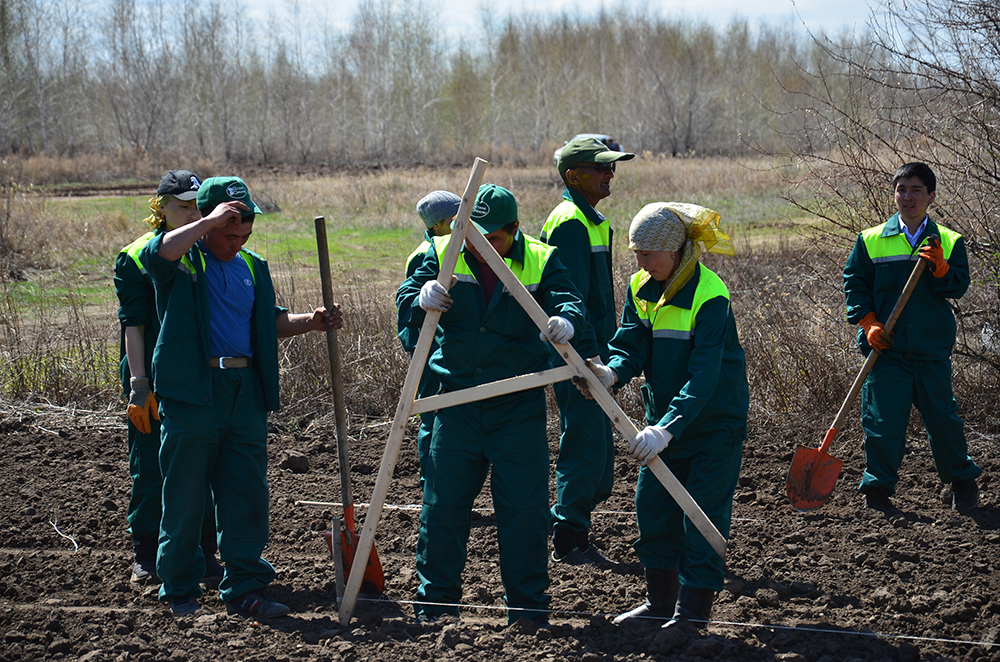 Биыл Астанаға 44 мың түп қызғалдақ егіледі